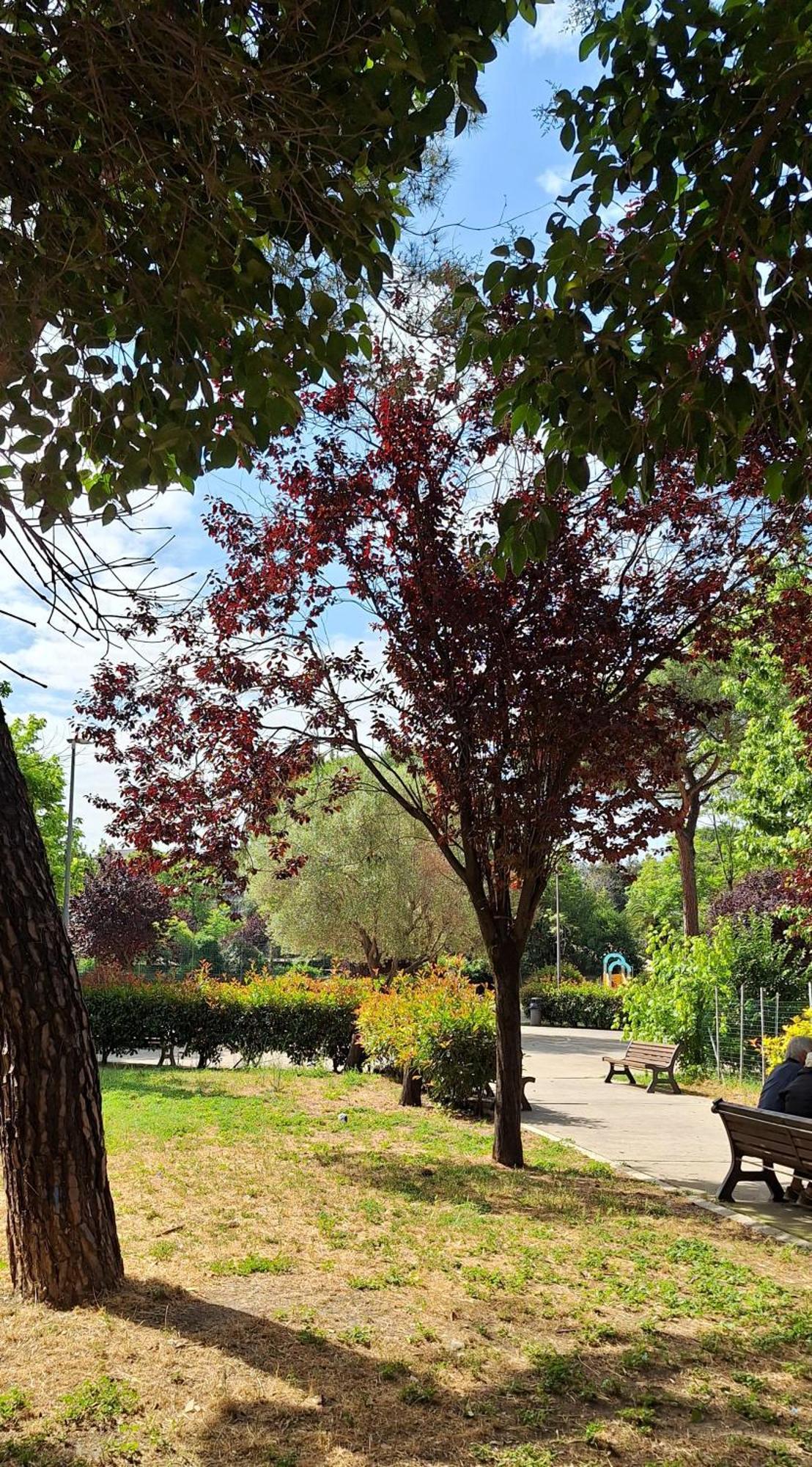 Apartamento La Casa Di Viola - Trastevere